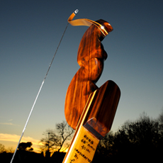 Hawkeye Pic